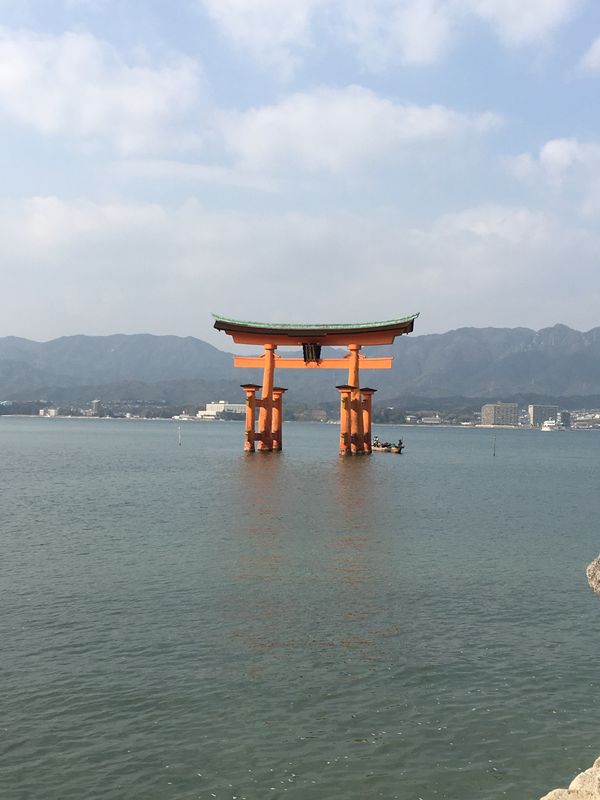 日本・島根県「くるっと西日本の旅」の写真：厳島神社、牡蠣、穴子