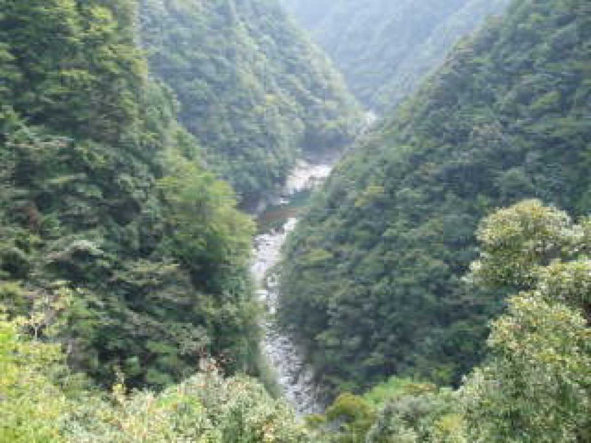祖谷渓、祖谷蕎麦、鳴門の渦潮、明石海峡大橋