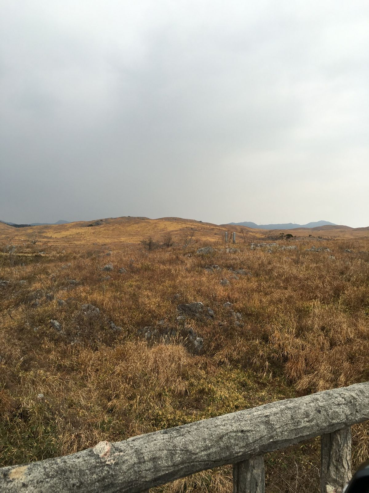 ふぐ、角島大橋、秋吉台