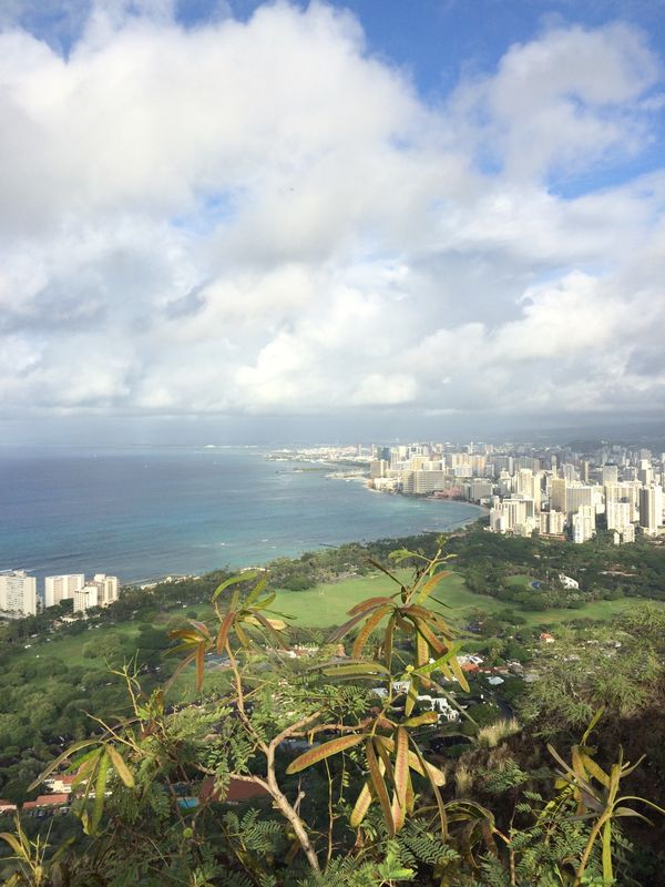 アメリカ(米国)・ホノルル「ハワイ島&ホノルル」の写真