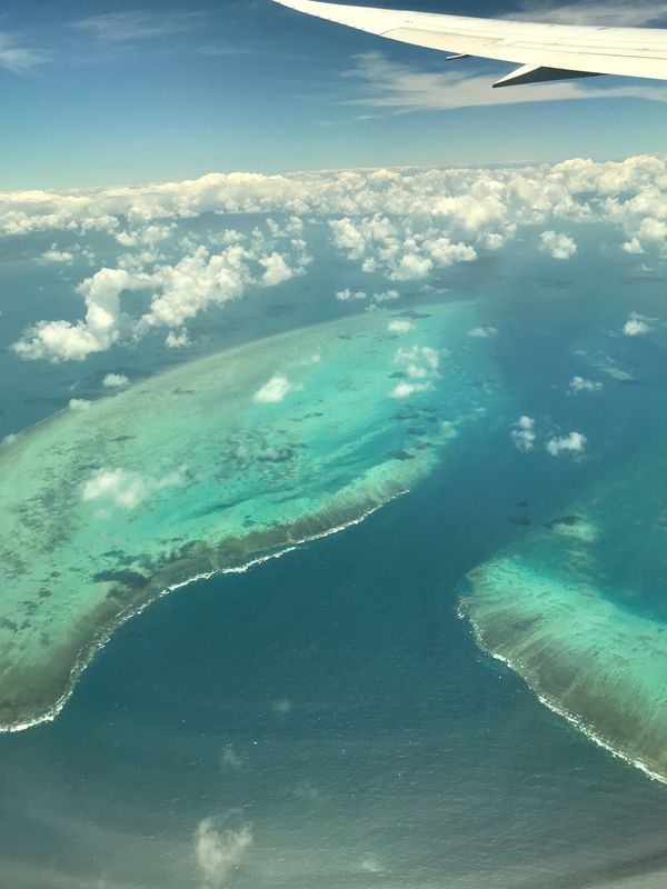 オーストラリア連邦・ケアンズ「ケアンズ」の写真