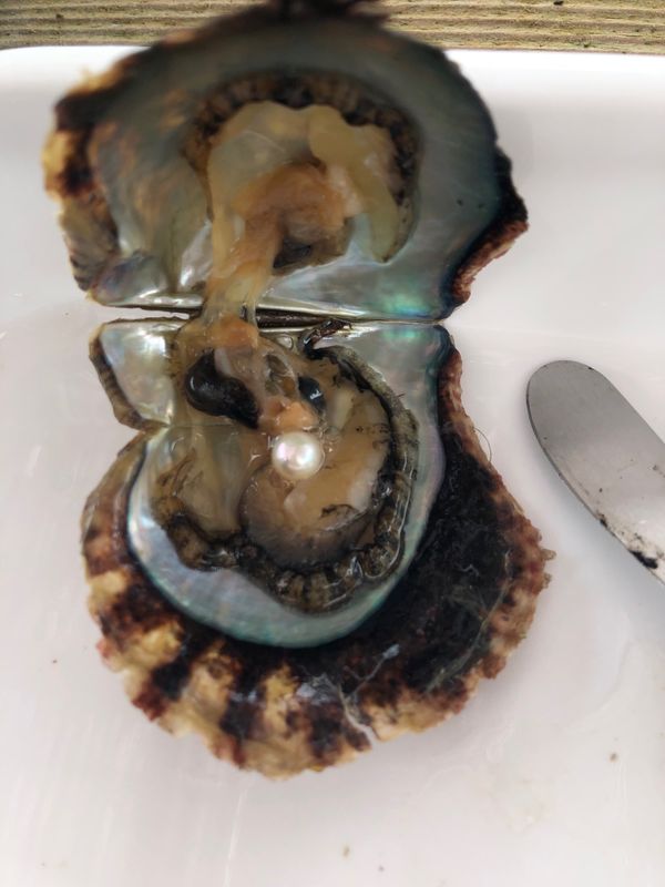 日本・伊勢神宮「久しぶりの家族旅行🚗in伊勢〜鳥羽」の写真：真珠体験🦪