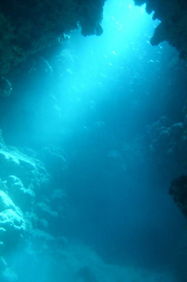 日本・宮古島「初の宮島島🐠」の写真：宮古島🐠