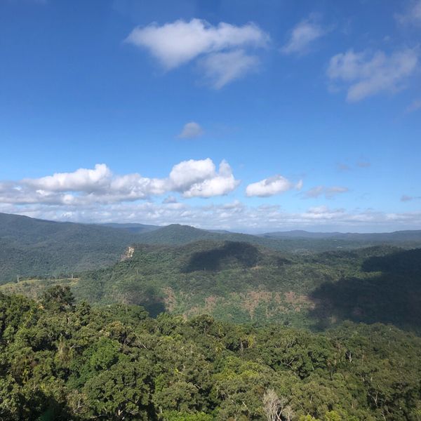 オーストラリア連邦・ケアンズ「ケアンズ旅行」の写真