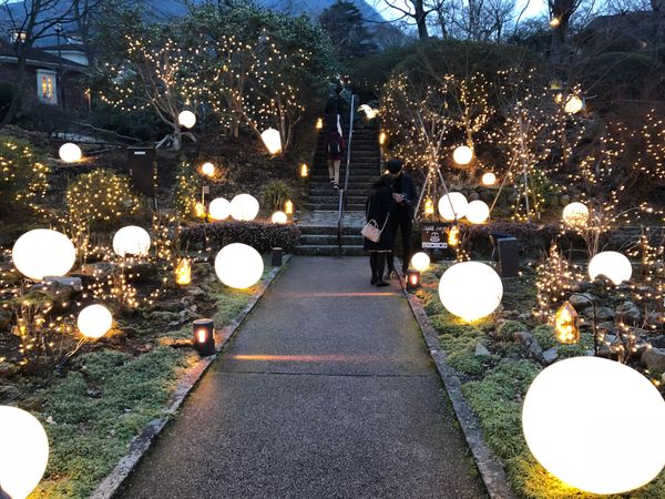 日本・箱根「箱根旅行」の写真