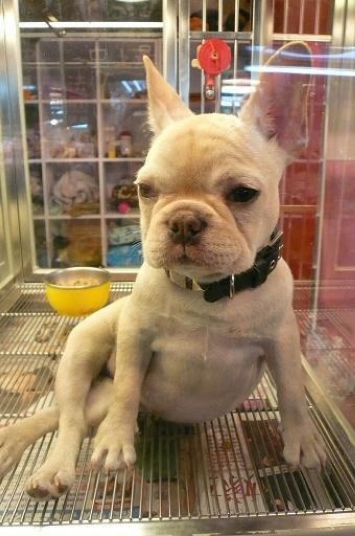 ★3日目

お腹が満たされその後は【士林夜市 】へ。

人がいっぱ～い🎶
...