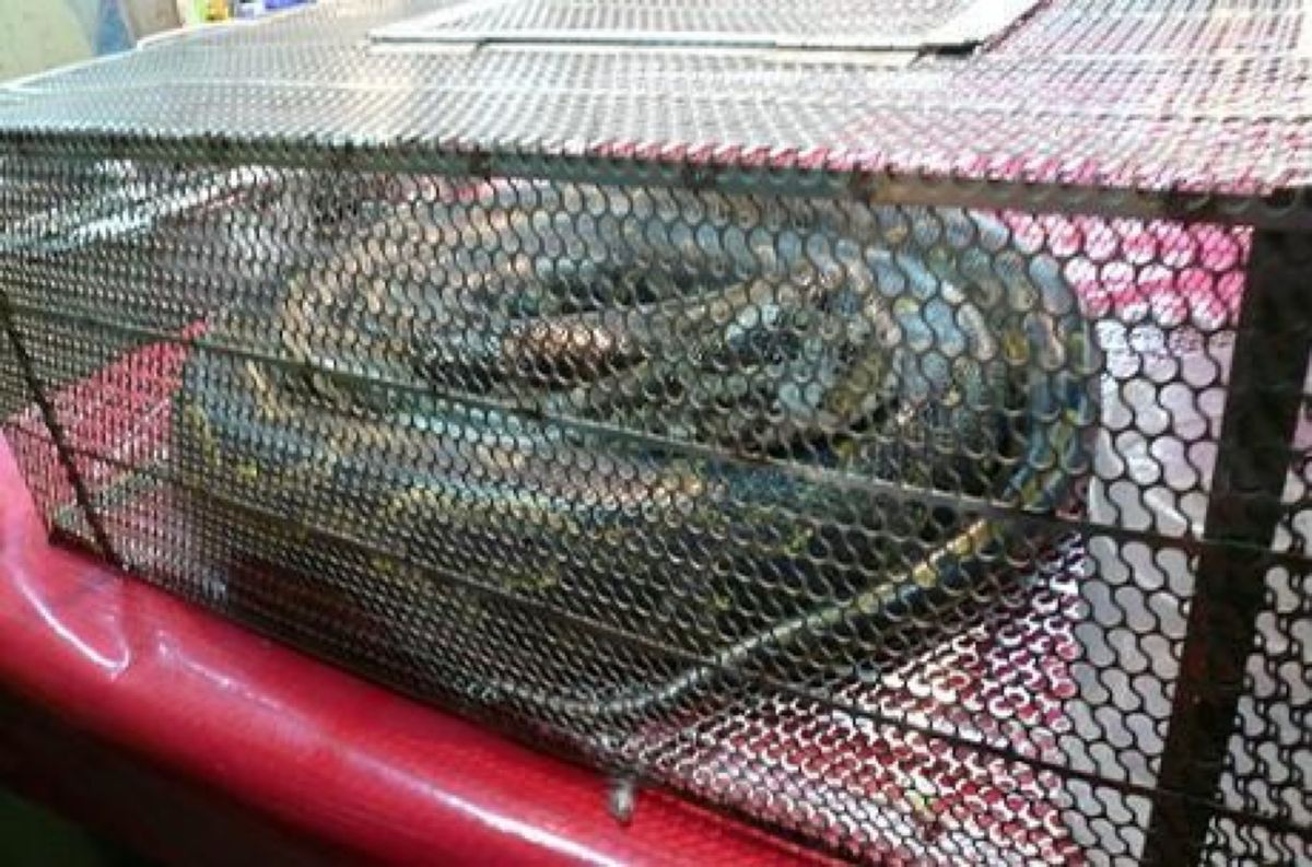 ★3日目

お腹が満たされその後は【士林夜市 】へ。

人がいっぱ～い🎶
...