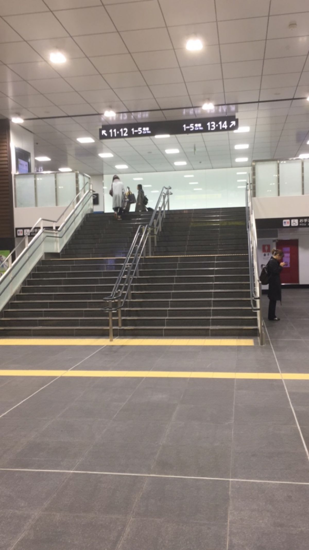 白海老、氷見うどん