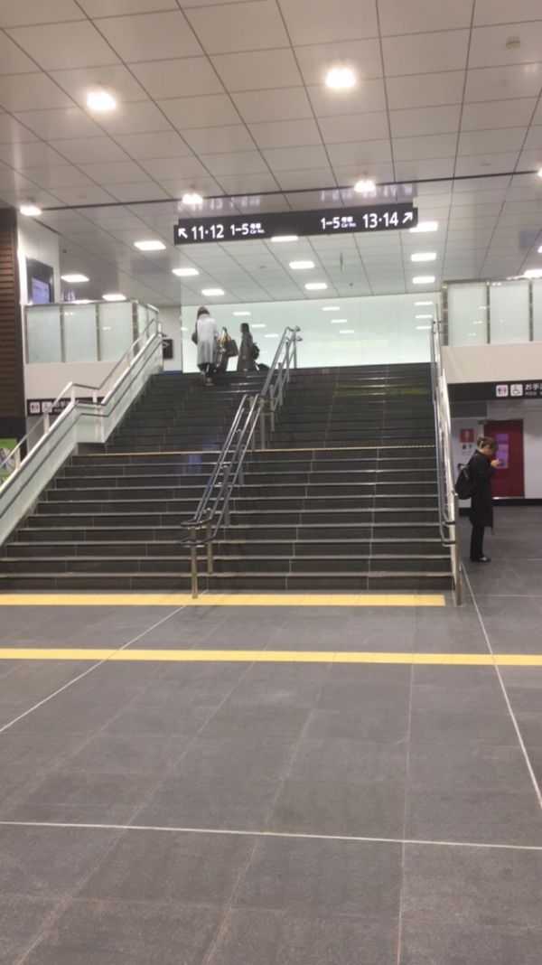 日本・富山県「富山出張」の写真：白海老、氷見うどん