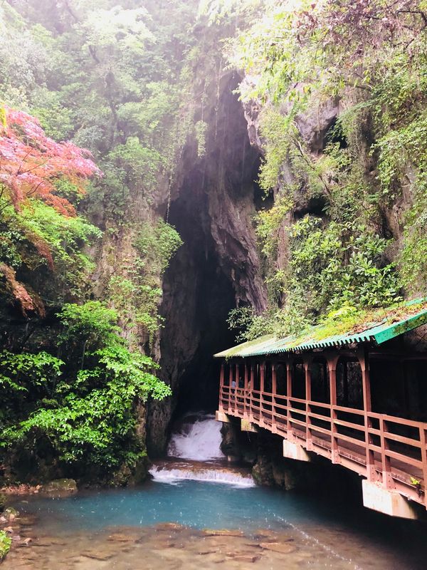 日本・山口県「IN 山口」の写真
