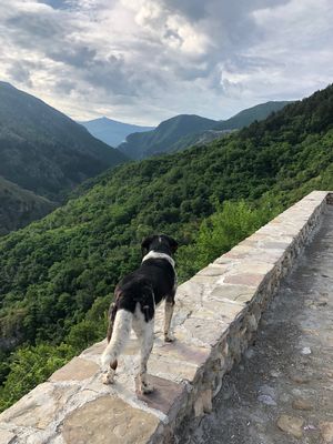 プリズレン

街の景色を上から見るために、城塞跡に行こうとしたら、野良犬が...