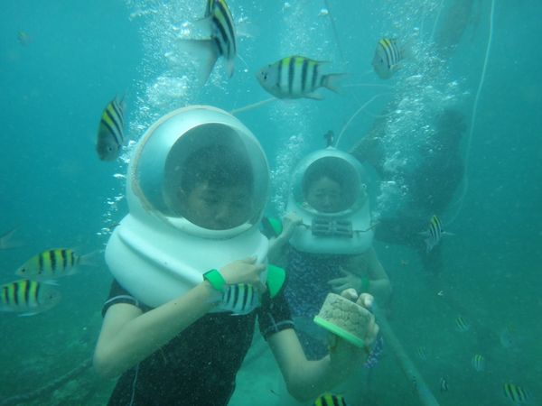 日本・セブ島「セブ島」の写真