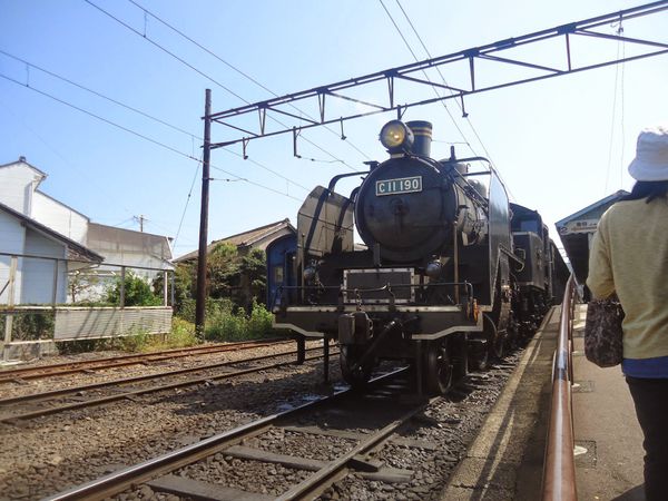 日本・静岡県「大井川鉄道」の写真