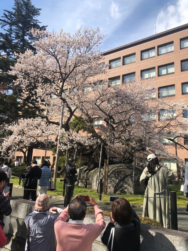 日本・岩手県「岩手盛岡2泊3日」の写真：夜はぴょんぴょん舎で焼肉