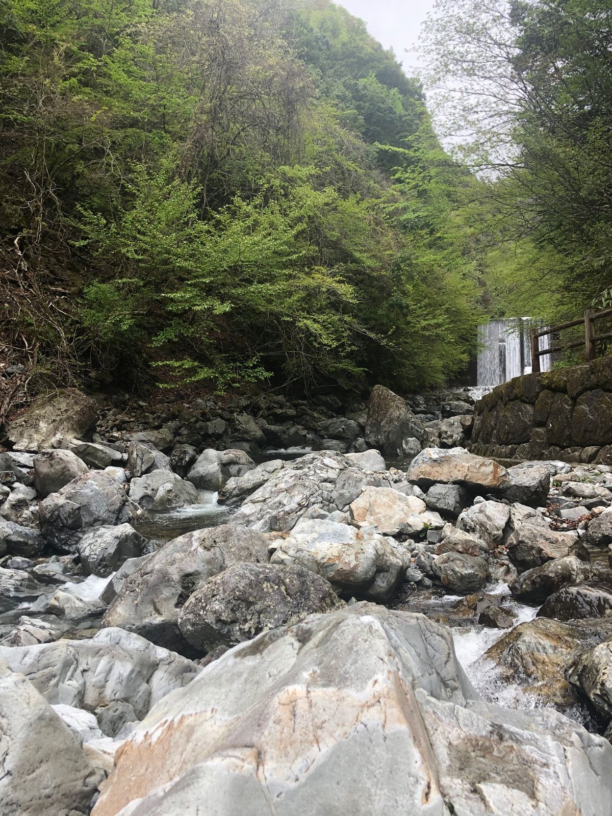 湯の峰温泉は外の川沿いにもたくさん湯の花が見られます