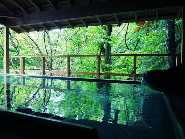 日本・伊勢神宮「伊勢志摩･郡上八幡･下呂温泉」の写真