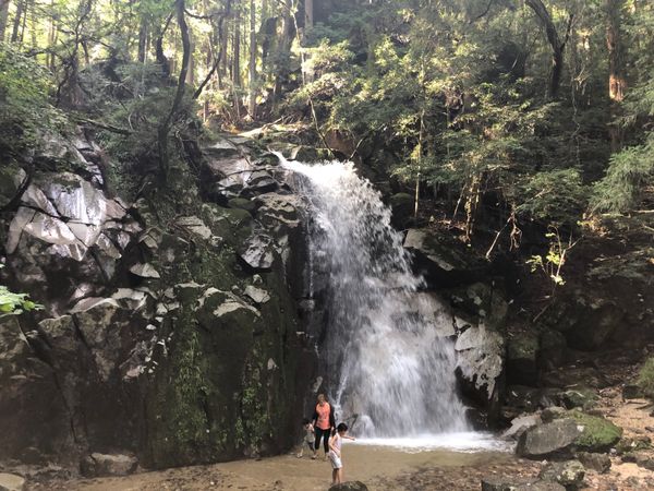 日本・岐阜県「岐阜小旅行」の写真