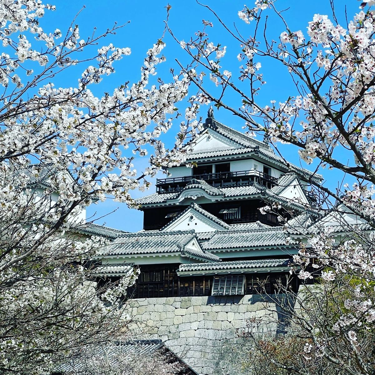 松屋城
現存12天守となる伊予松山城
美しいお城でした
