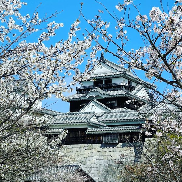 日本・愛媛県「Mar. 2021 愛媛県　松山の旅」の写真：松屋城
現存12天守となる伊予松山城
美...
