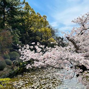 湯築城跡