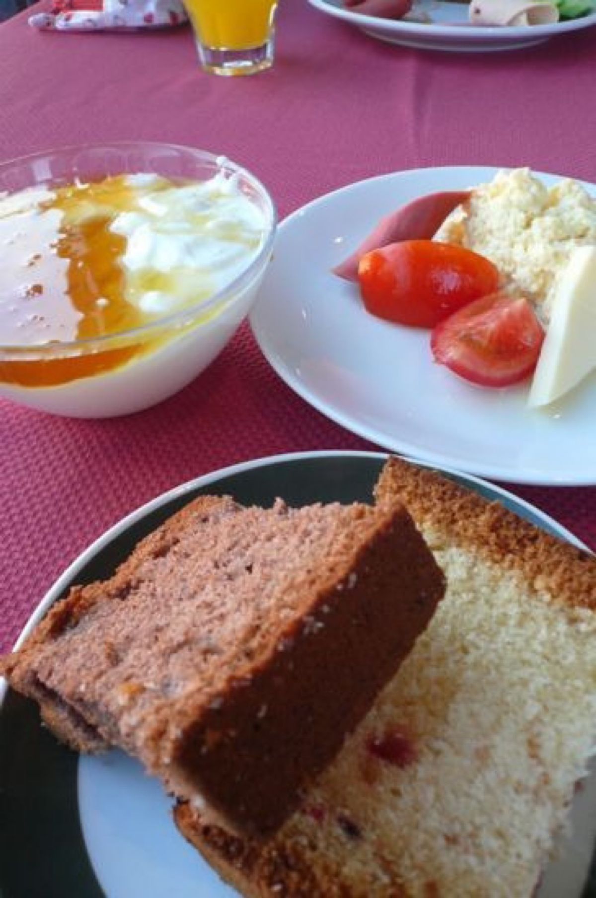 ★7日目

前日、夕食を食べたところで朝食。

テラスにカモメが❗️
何だ...