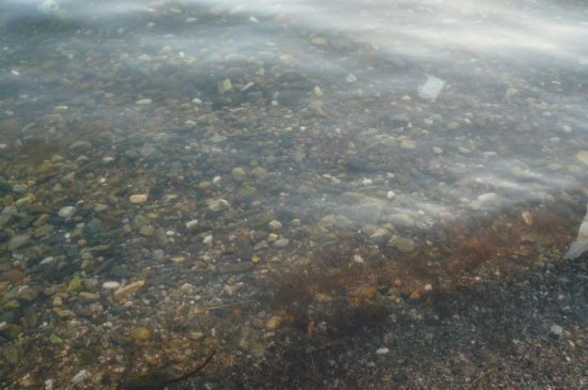 ★2日目

夕食まで時間があったのでこの地下道を通って道を渡って海へ。

...