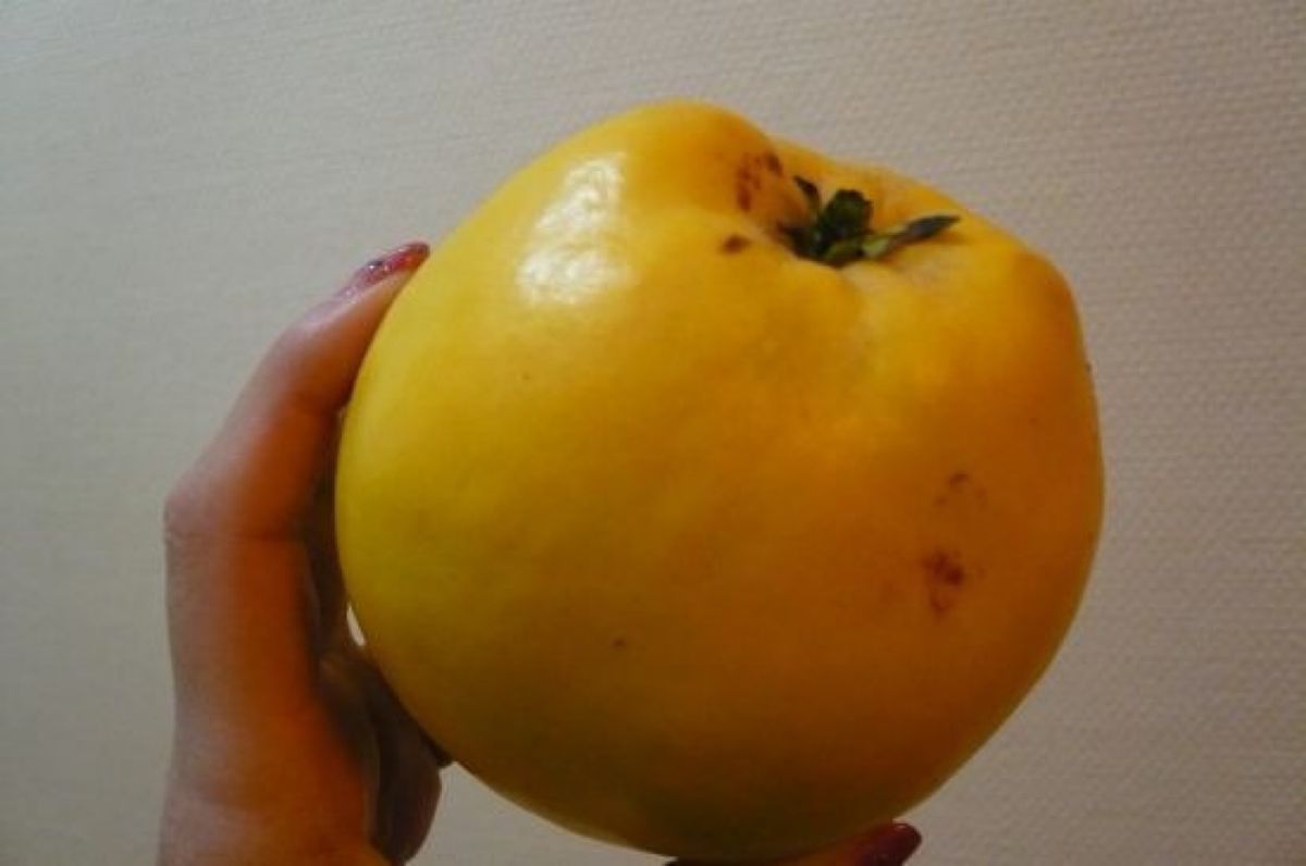 ★2日目

お店も日本と違って楽しい。
ヨーグルト屋さん。とにかくデカイ‼...