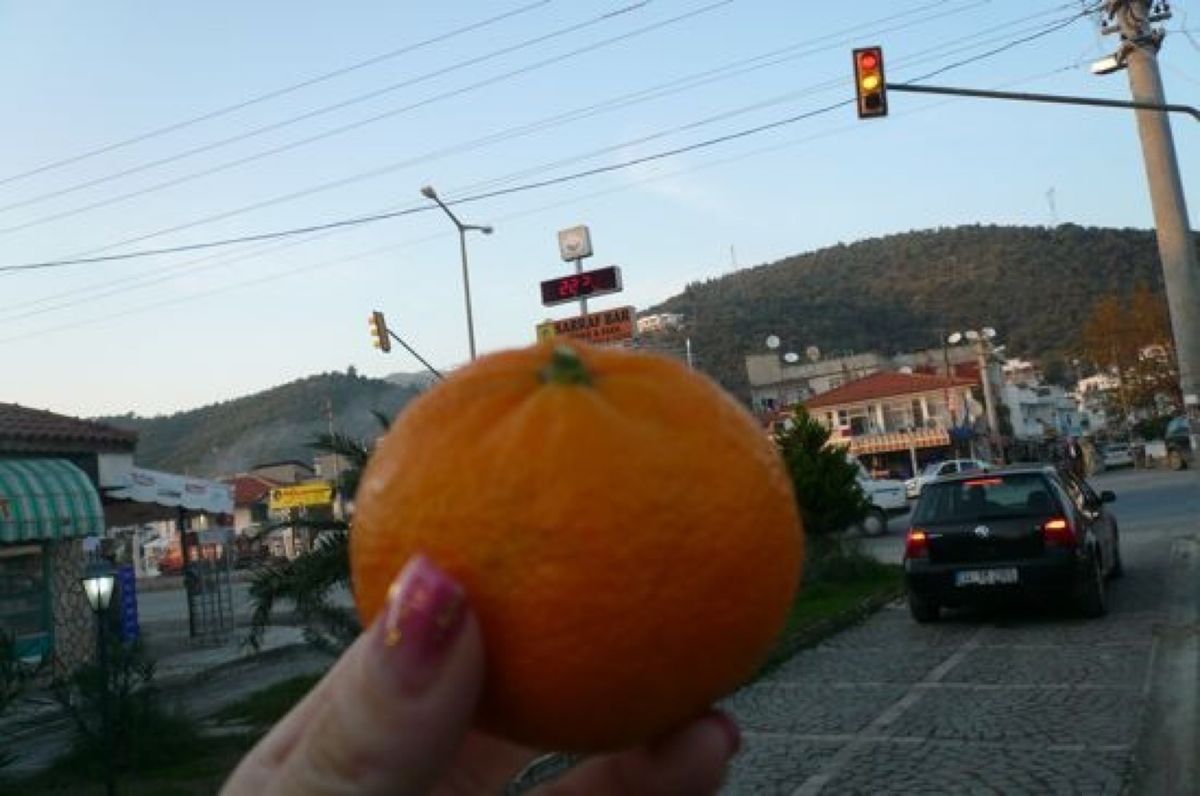 ★2日目

お店も日本と違って楽しい。
ヨーグルト屋さん。とにかくデカイ‼...