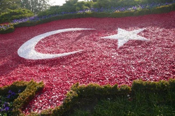 トルコ・トルコ「トルコ」の写真：★6日目

アナトリア文明博物館へ。