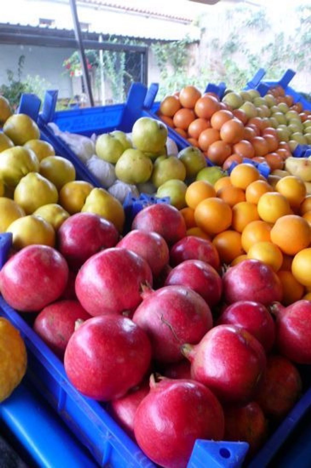 ★2日目

お店も日本と違って楽しい。
ヨーグルト屋さん。とにかくデカイ‼...