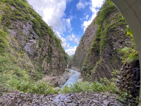 「サッカー観戦」の写真