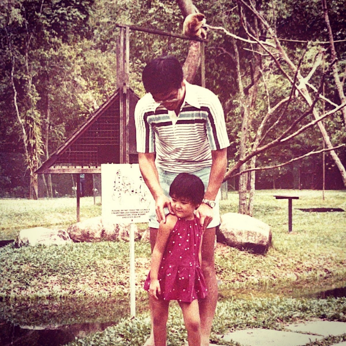 シンガポール動物園ではオウムに触れたり、ヘビを首にまきつけたり、ゾウに乗せ...