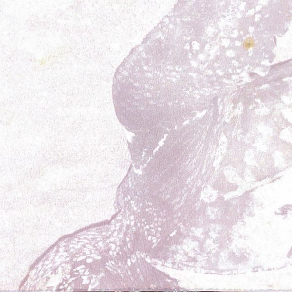 マレーシア・マレーシア「Aug. 1984 マレーシア　チェラティンビーチ」の写真