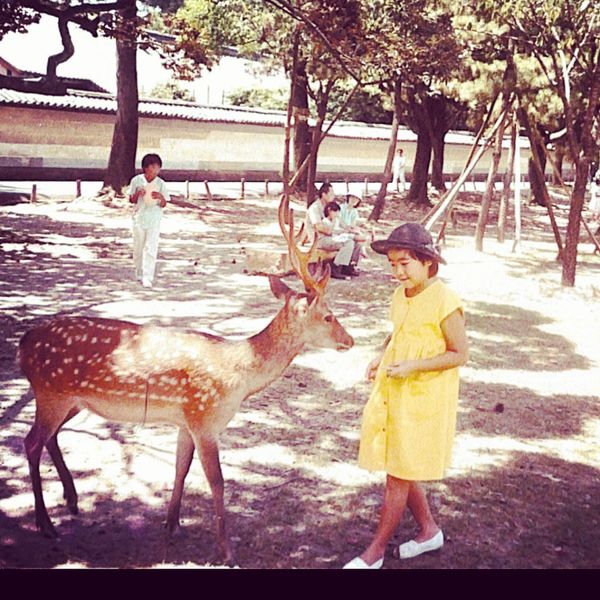 日本・長崎県「Aug. 1985 奈良県　長崎県」の写真