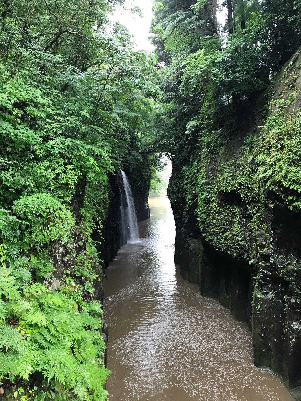 前日の大雨で残念ながら濁っててボートも中止で乗れなかった