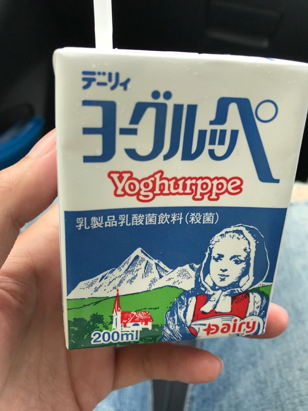 日本・高千穂峡「宮崎旅行」の写真