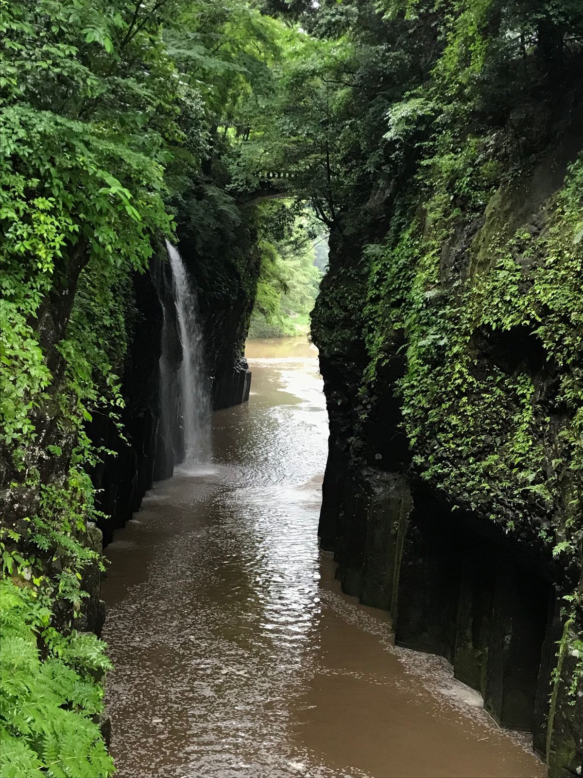 前日の大雨で残念ながら濁っててボートも中止で乗れなかった