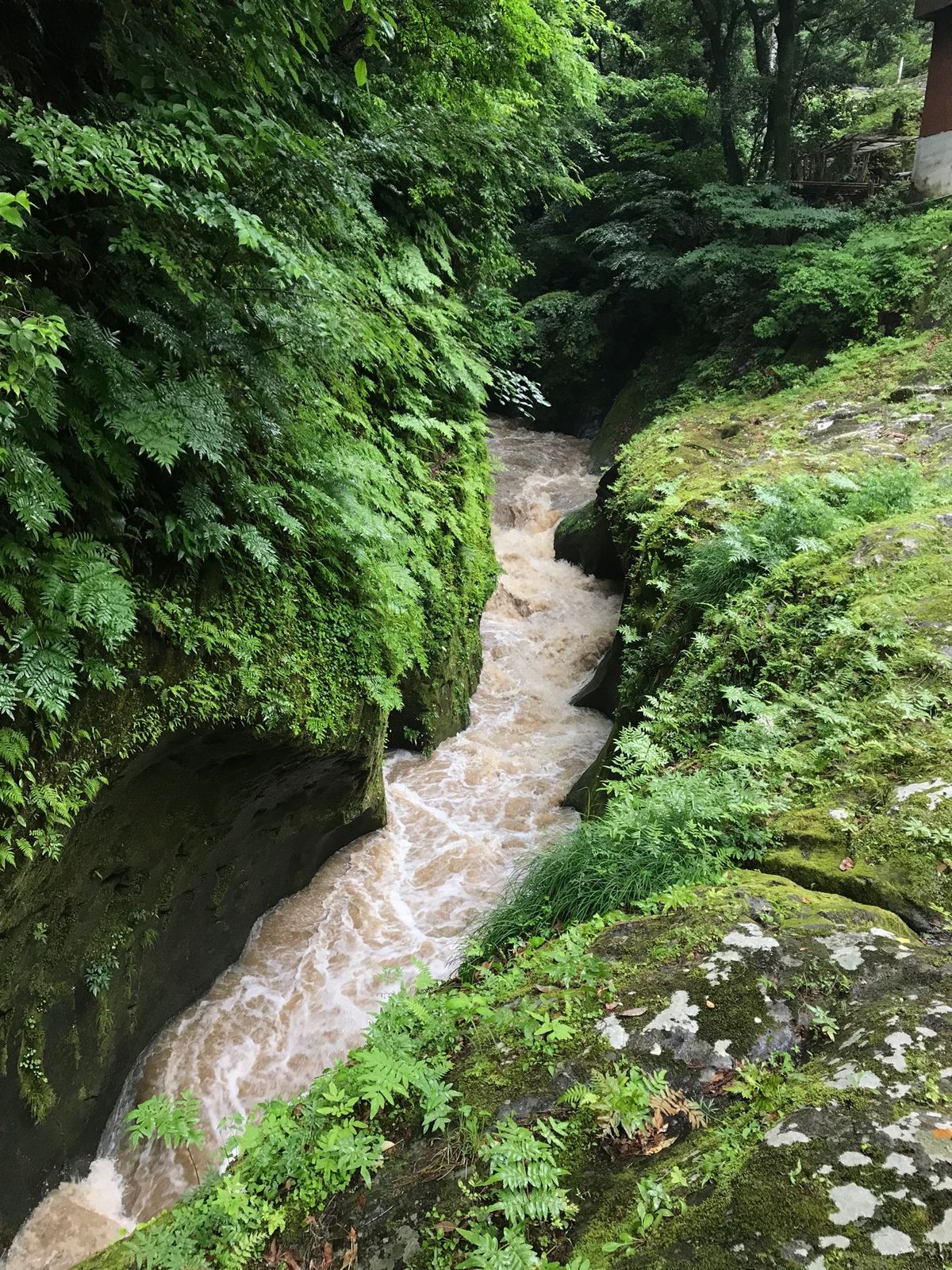 前日の大雨で残念ながら濁っててボートも中止で乗れなかった