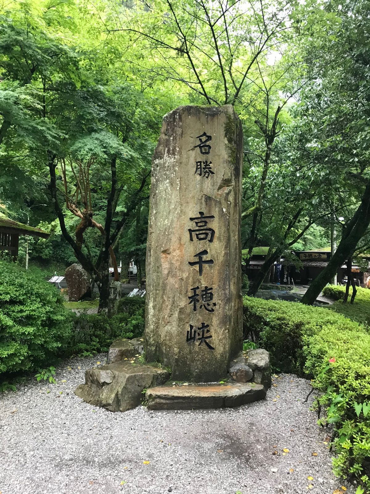 前日の大雨で残念ながら濁っててボートも中止で乗れなかった