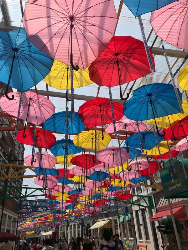 日本・長崎県「長崎旅行」の写真