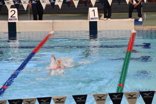 日本・東京都「日本選手権（短水路）」の写真