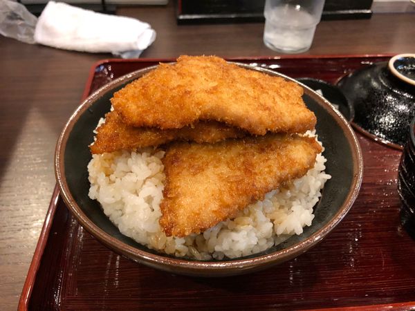 日本・新潟県「全日本社会人水泳選手権」の写真