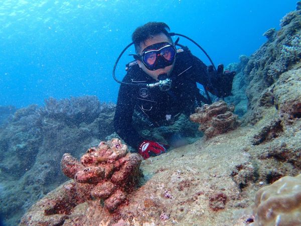 日本・沖縄県「会社の慰安旅行in沖縄」の写真