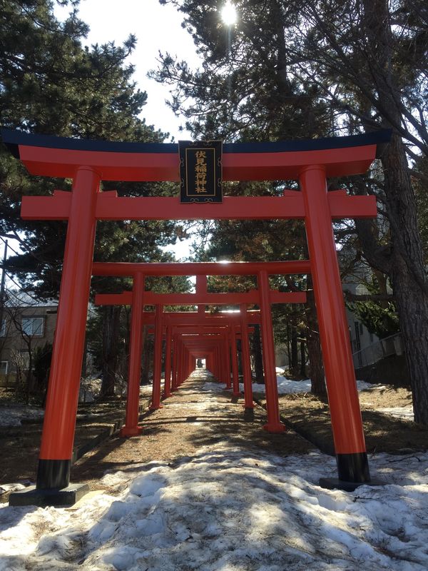 日本・北海道「札幌へ」の写真