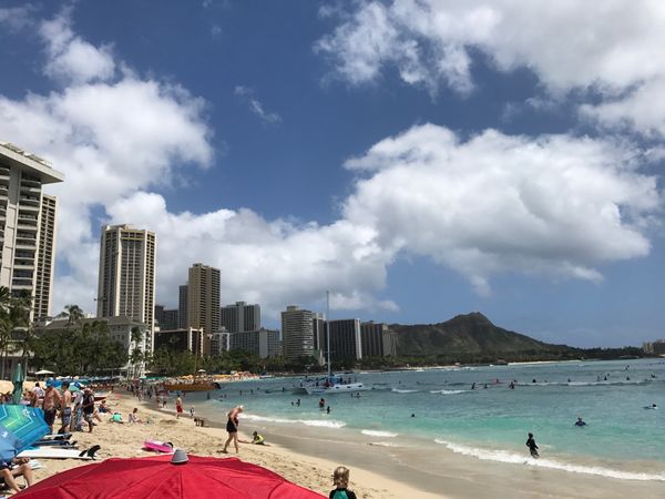 アメリカ(米国)・ホノルル「ハワイ2017」の写真