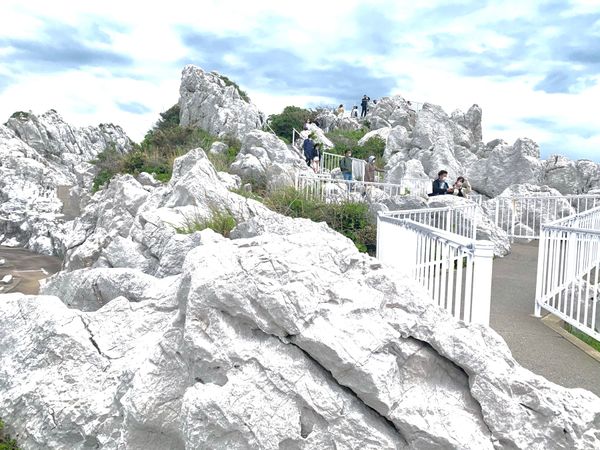 日本・和歌山県「和歌山　白浜旅行」の写真：白崎海洋公園、とれとれヴィレッジ、アドベ...