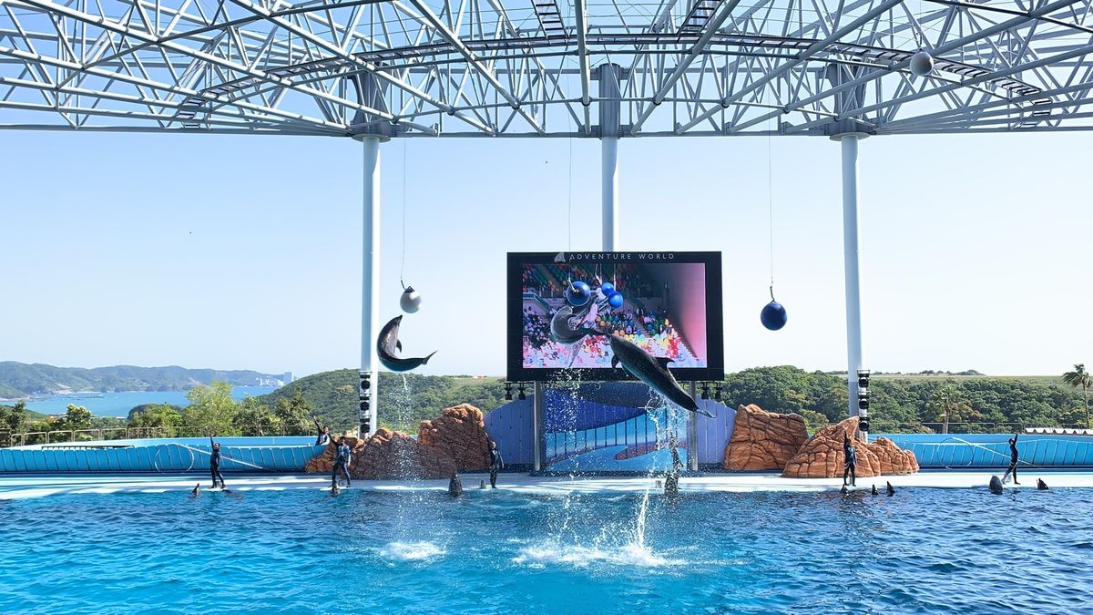 白崎海洋公園、とれとれヴィレッジ、アドベンチャーワールド、円月島