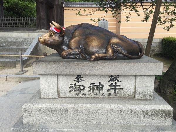 日本・福岡県「福岡遠征2016」の写真