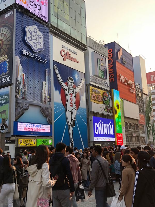 日本・大阪府「大阪遠征2018」の写真