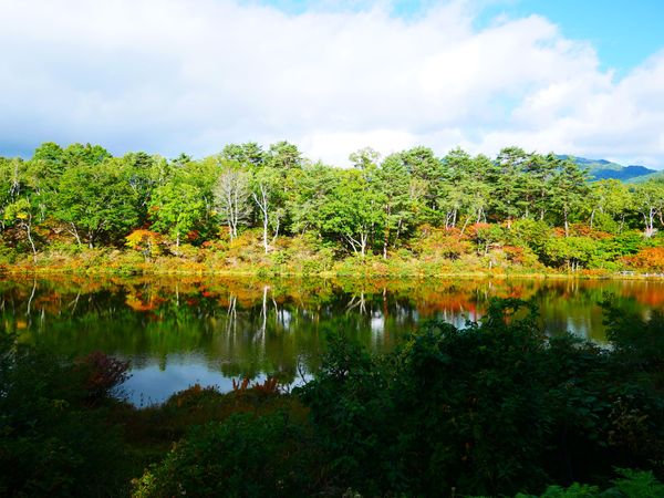 日本・長野県「湯田中･渋温泉 旅行」の写真